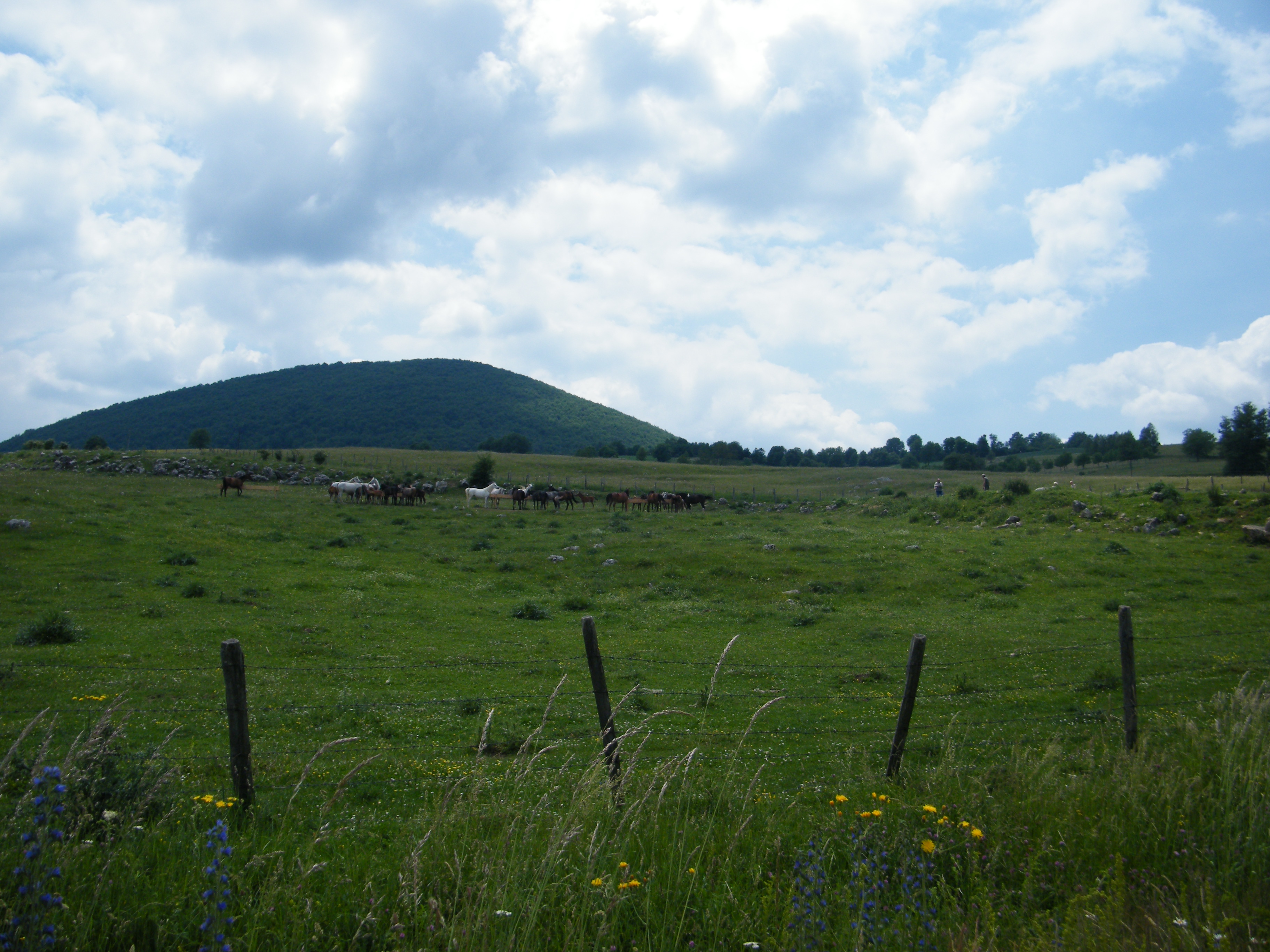 Rogatica | Tourist organization Republic of Srpska